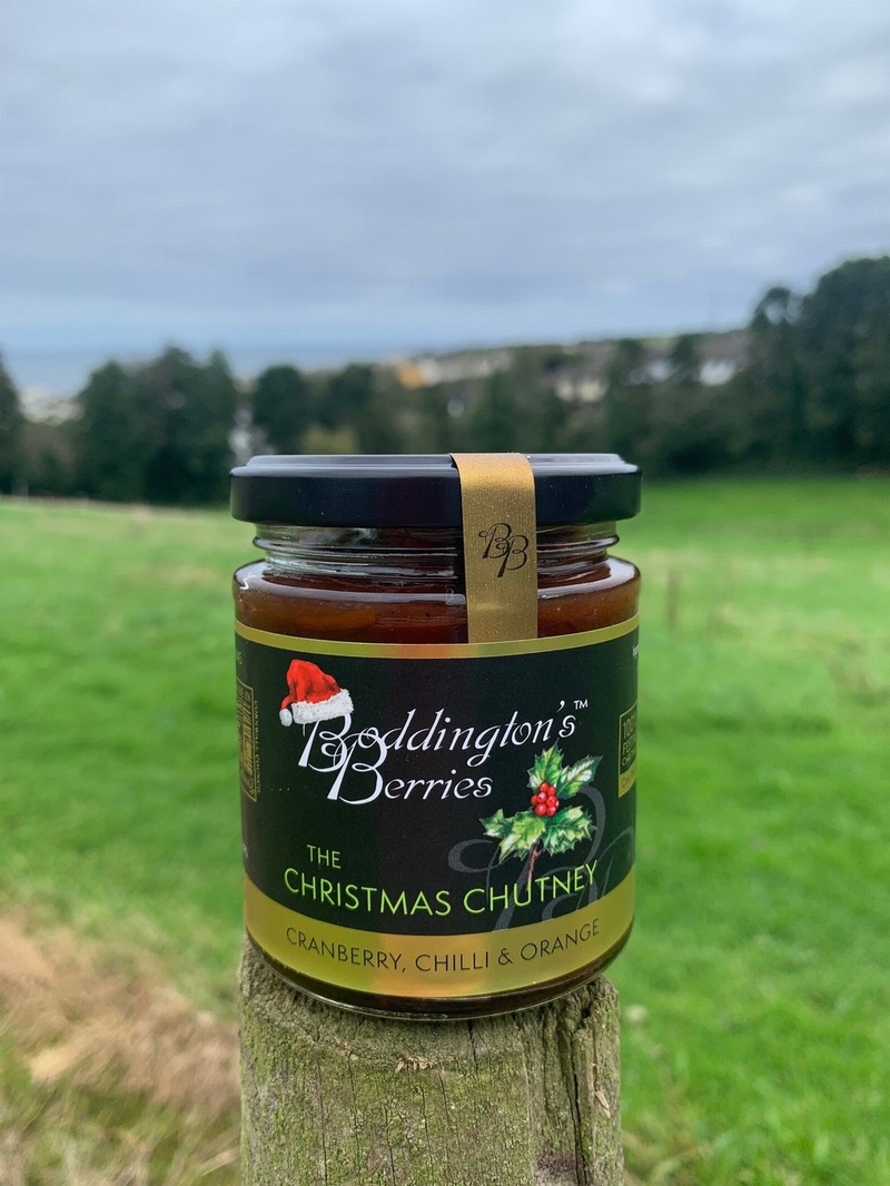 Christmas Chutney - 227g Jar