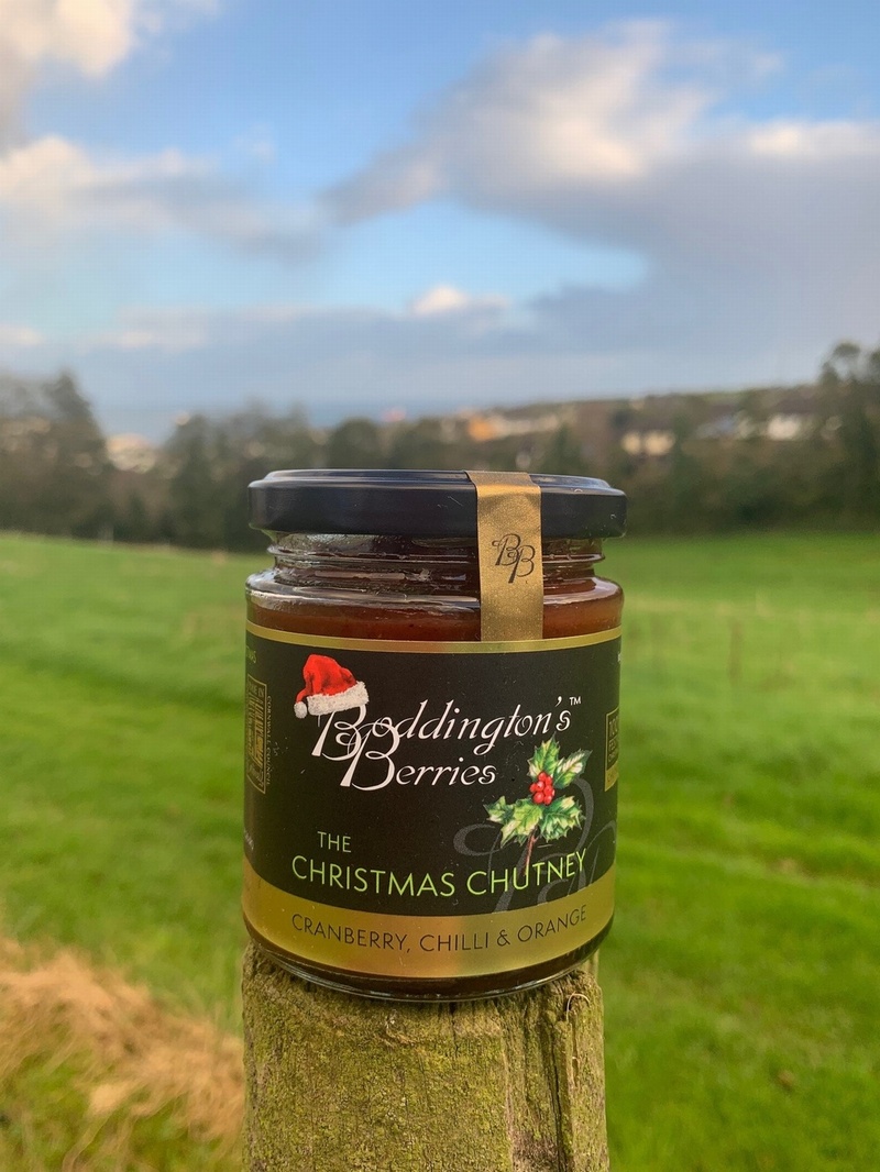 Christmas Chutney - 227g Jars (Box of 6)