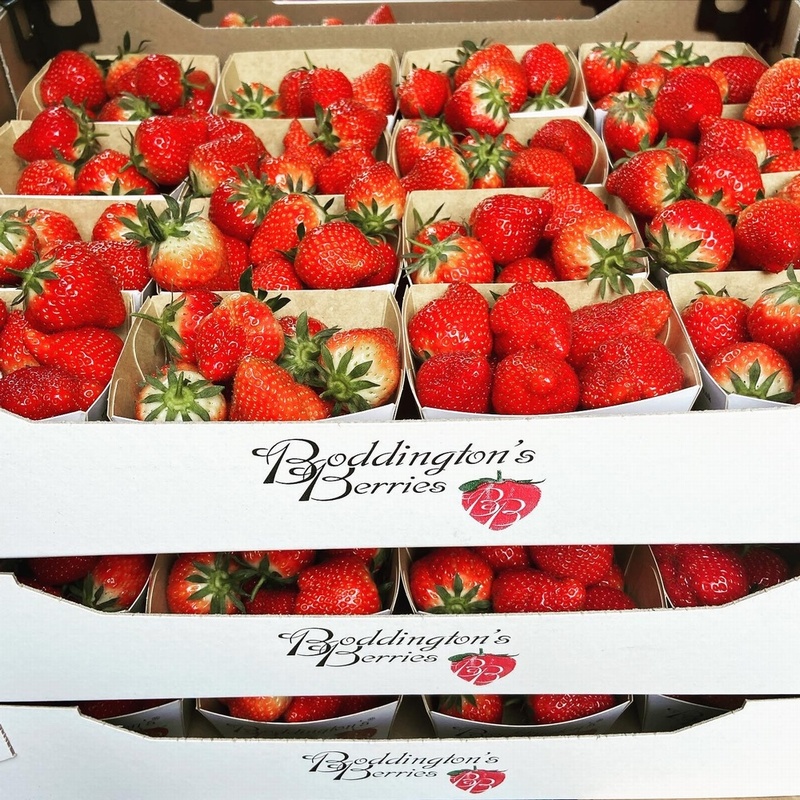 Fresh Strawberries