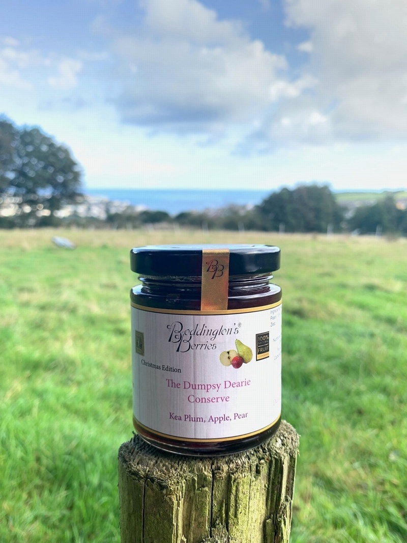 Dumpsy Dearie Conserve - 227g Jar