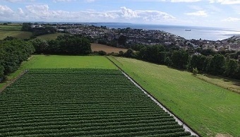 Our Farm in Cornwall 