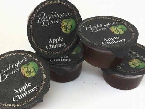 Apple Chutney - 28g Individual Portions (Box of 20)