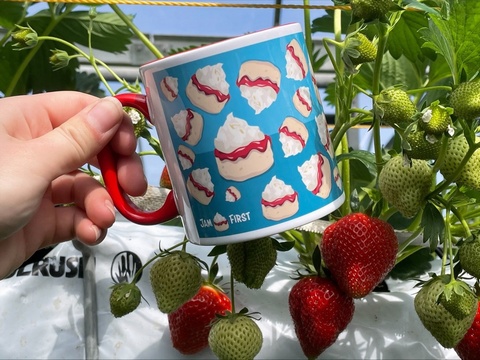 Jam First Ceramic Scone Mug