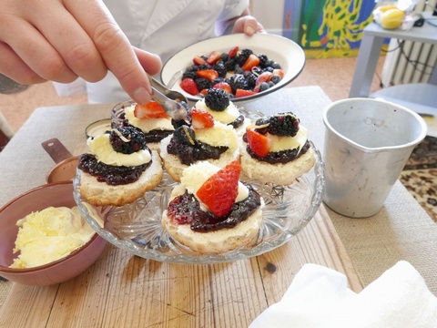 Boddington's Berries | Blackberry Conserve | Cream Teas